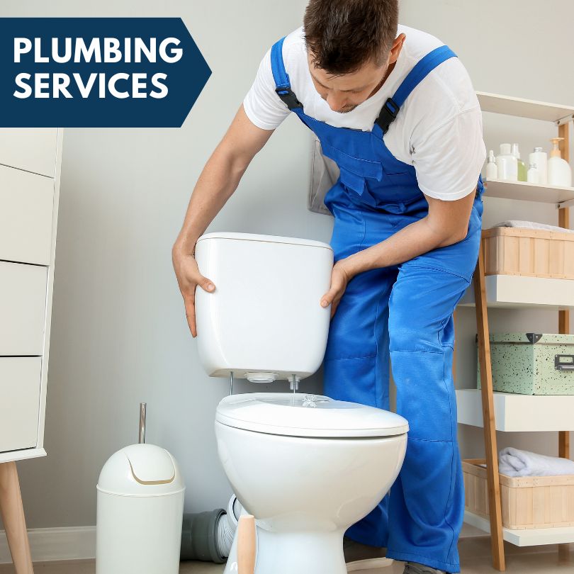 Plumbing Company in Colfax, IL